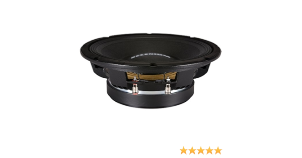 selenium 12 inch speaker