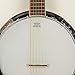 Top Grade Exquisite Professional Sapelli Notopleura Wood Alloy 6-string Banjo