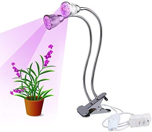 office plant grow light