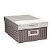Darice 30032641 Decorative Photo Storage Box: Taupe Stripes, Grey