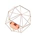 FLAMEER 8-Set Geometric Polished Tealight Candle Holder Table Top Centerpiece Weddings Events Parties Decor - Rose Gold