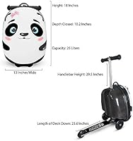 zinc flyte australia