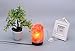 Himalayan Salt Lamp with Wood Base & Dimmer Cord & Light Bulbs,7-9 inch,4.5-6.6 lbs