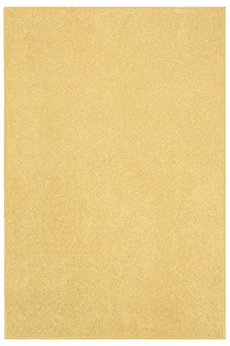 Bright House Solid Color Area Rug, Oval, 36" L x 24" W, Yellow