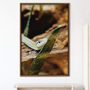 signwin Framed Canvas Wall Art Snake Contemporary Dramatic...