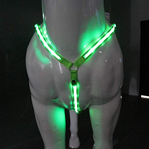LED Horse Breastplate Collar High Visibility Tack for Horseback Riding Adjustable, Sturdy & Comfortable Hi-Viz Equestrian Safety Gear (Green)