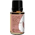 Rocky Mountain Oils Clove Bud Essential Oil - 100% Pure Natural Aromatherapy Oil for Diffusers, Home Scenting & Candle Making, DIY Blends, Home Fragrance, for Topical Massage Therapy - 15ml