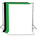 Fancierstudio 2400 watt lighting kit softbox light kit video lighting kit with Background stand 6'x9' Black, White and Chromakey green backdrop by Fancierstudio UL9004S3 6x9BWG