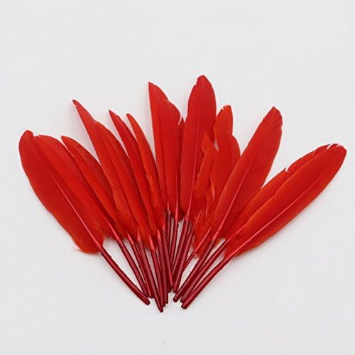 WAKEACE Goose Feathers 100Pieces 4-6 Inch \ 10-15CM DIY Headdress Costume Design