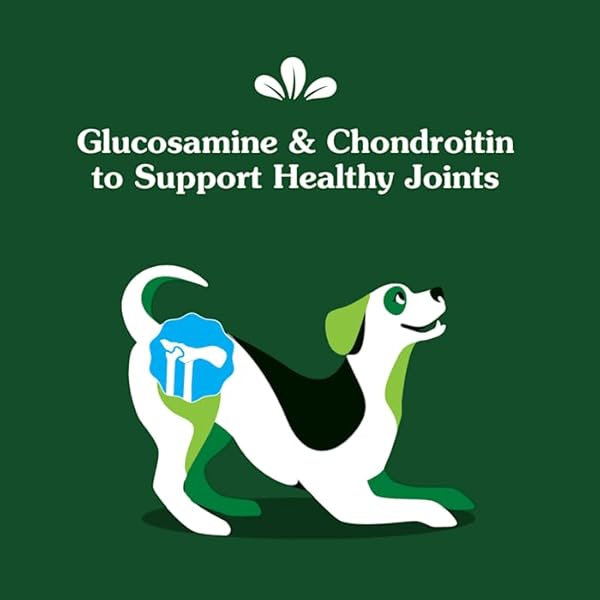 GREENIES SUPPLEMENTS HIP AND JOINT SUPPLEMENTS FOR DOGS, WITH CHONDROITIN & GLUCOSAMINE FOR DOGS, CHICKEN FLAVOR, 6.08 OZ. POUCH, 30 COUNT