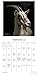I Am Goat 2018 Wall Calendar: Animal Portrait Photography and Wisdom From Nature's Philosophers
