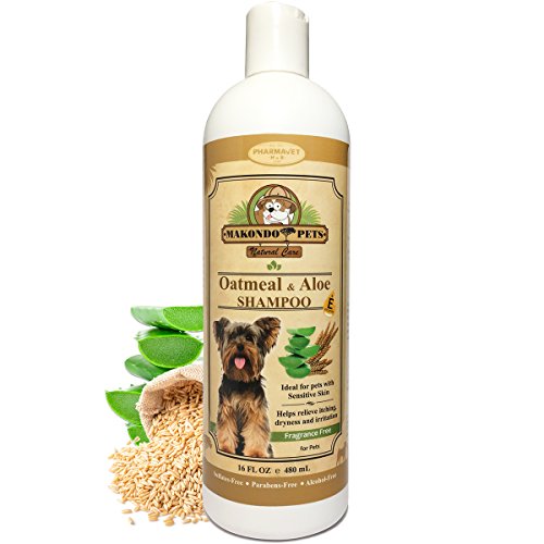 Oatmeal Dog Shampoo with Aloe Vera and Vitamin E - Hypoallergenic Dog Shampoo for Pets with Dry, Sensitive or Itchy Skin - All Natural Fragrance Free, 16 Ounces of The Best Dog Shampoo for Dry Skin (Best Dog Shampoo For Yorkies)