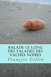 Balade le long des falaises des Vaches Noires (French Edition) by Francois Collin