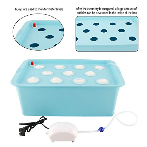 Homend Indoor Hydroponic Grow Kit with Bubble Stone, 11 Plant Sites