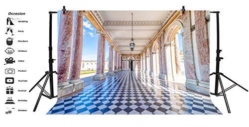 LFEEY 5x3ft Versailles Backdrop Famous Scenic Spots in France Photography Background Historic Building Mosaic Floor Blue Sky Holiday Party Backdrop Wedding Shooting Photo Studio - Thumbnail 2