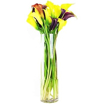 Amazon Com Cys Excel Glass Cylinder Vase Floating Candle Holder