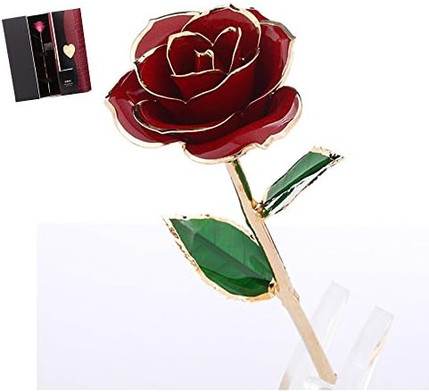 Wincspace Laquered Platinum Real Long Stem Dipped 24K Gold Trim Genuine Rose In Gold With Retail Gift Box Best Gift For Mother &amp; Girl Friend (red)