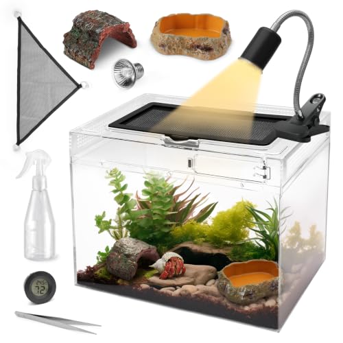 AZV Reptile Terrarium Starter Kit