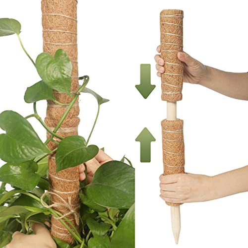 Moss Pole for Plants Monstera Coco Coir Moss Pole Stakes for Indoor