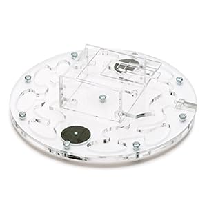 AntHouse - Formicaio Acrilico - Kit Educativo Circolare Big 20x20x1,3 cm con Coperchio | Sistema di umidità a Schiuma…