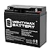 Mighty Max Battery 12V 18AH SLA Battery Replacement for Enduring 6FM18, 6-FM-18