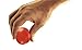 THERABAND Hand Exerciser, Ball For Hand, Wrist, Finger, Forearm, Grip Strengthening & Therapy, Squeeze Ball to Increase Hand Flexibility & Relieve Joint Pain, X-Large Red, Soft, Beginner