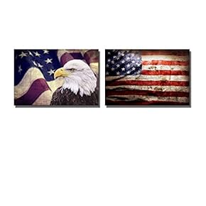 Bald Eagle with The Grunge American Flag Patriotic...