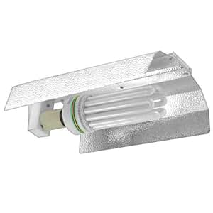 Amazon.com : Feliz 125 Watt CFL Grow Light 6500K with ...