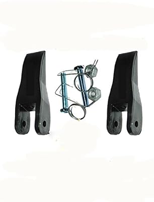 Werner Lipper 29-1 changing - part ladder extended to stability and security .