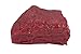 Nasco WA14573U Life/Form Body 1 lb. Muscle Replica