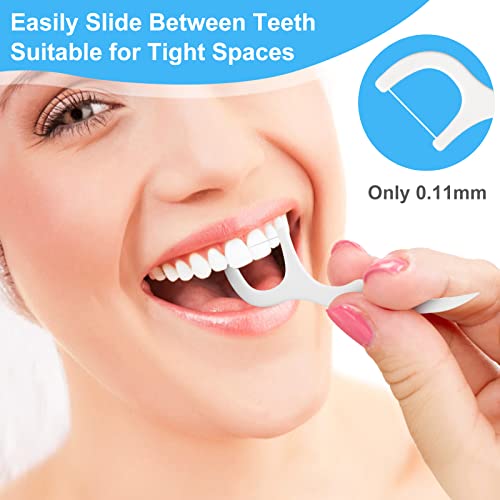 1000 Count Dental Floss Picks Great Value Family Pack, BPA Free Tooth