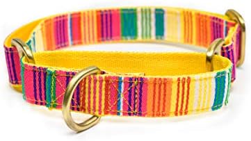 Colourful Stripes Dog Martingale Collar | Comfortable & Secure Fit | No Neck Strains | Durable | Recommended by Trainers | Suited for Small Breeds Like Lahsa, Terrier & More | Size S