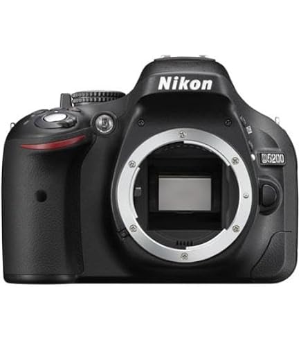 Amazon.com : Nikon D5500 DX-format Digital SLR Body (Black