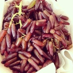 Lady's Fingers Grape - 3 cuttings-a Late-Maturing seedless Table Grape