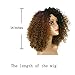 MISSQUEEN 2 Tone Ombre Wig Black to Brown Synthetic Kinky Curly Wigs for Black Women Heat Resistant Fiber.