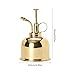 Leiyini Plant Mister Vintage Brass Mister Succulent Plants Watering Can Pot Decorative Brass Sprayer Watering Can Metal Plant Sprayer Mister Brass Gold Garden Tool for Flowers and Succulents