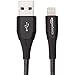 Amazon Basics Double Nylon Braided USB A Cable with Lightning Connector, Premium Collection, MFi Certified Apple iPhone Charger, Black, 10 Foot
