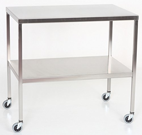 Stainless Steel Instrument Table with Shelf 36"L x