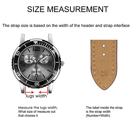 416iZz8nHYL.jpg