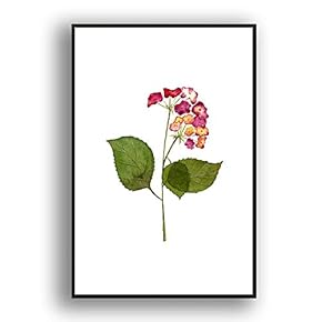 Framed Canvas Wall Art for Living Room, Bedroom Leaves Canvas Prints for Modern Home Decoration Ready to Hang - 16"x24" inches