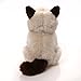 Gund Grumpy Cat Plush Stuffed Animal Toy