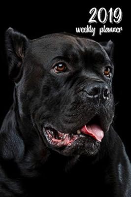 2019 Weekly Planner 6x9 In Cane Corso 52 Weekly Calendar
