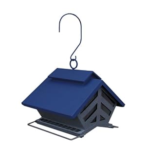Amazon Com Umbra Bird Cafe Feeder Hummingbird Feeders Garden