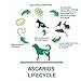 HERBALPET 8in1 Health Supplements | Natural Dog Dewormer Alternative | Intestinal Cleanse | Works for Puppy, Small, Medium and Large Dogs | 5 Tablets | One-time Treatment