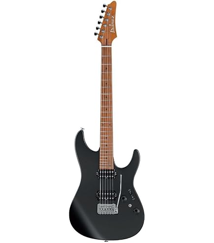 Amazon.com: Ibanez Premium AZ42P1 Electric Guitar - Black