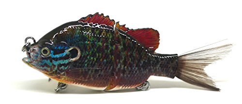 swim baits for stripers