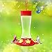 YHHAFSFW Hummingbird Feeder,20 Ounce Glass Hummingbird Feeders with Ant Moat for Outdoors