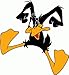 Daffy Duck Cartoon Car Bumper Sticker Decal 5
