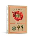 Seeds and Pods: 24 Postcards (New York Botanical Garden) by The New York Botanical Garden