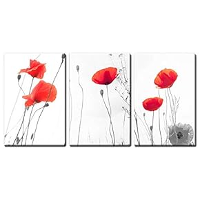 3 Panel Canvas Wall Art - Red Poppy Flowers - Giclee Print Gallery Wrap Modern Home Art Ready to Hang - 16"x24" x 3 Panels